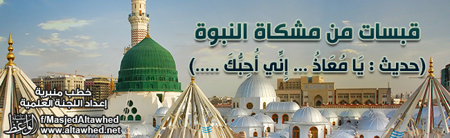 قبسات من مشكاة النبوة